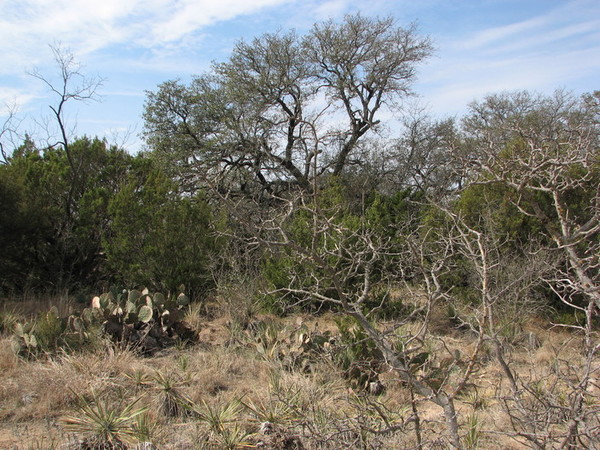 Happy Valley Ranch Photo