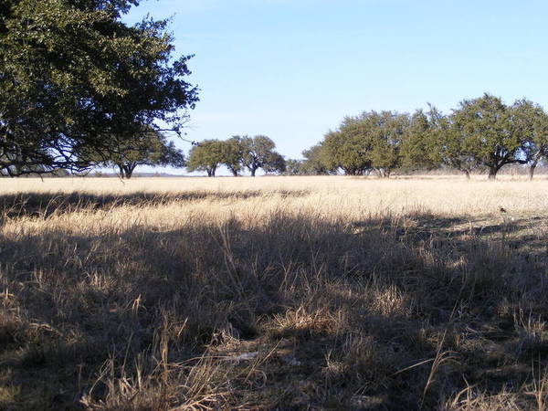 Hawkeye Ranch Photo