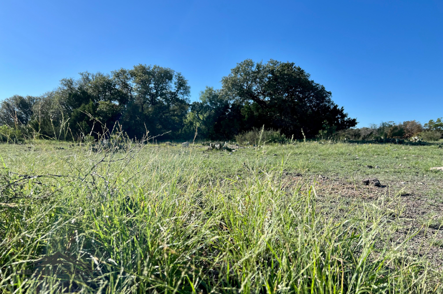 Elliott Ranch Photo