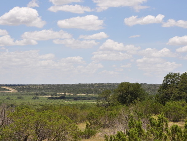 Hemphill Ranch Photo