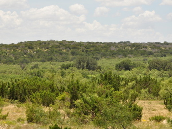 Hemphill Ranch Photo