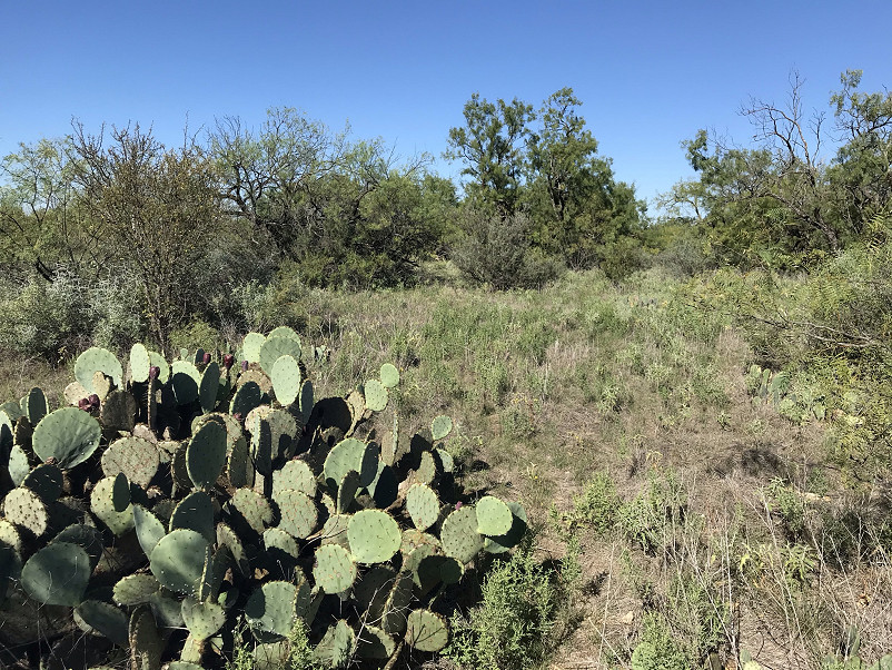 Herbort Ranch Photo