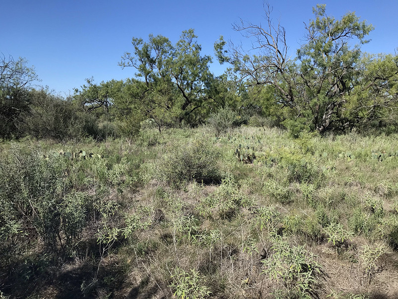 Herbort Ranch Photo