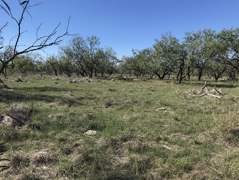 Herbort Ranch Photo