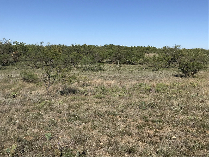 Herbort Ranch Photo