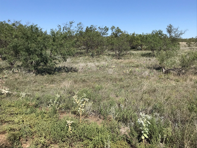 Herbort Ranch Photo