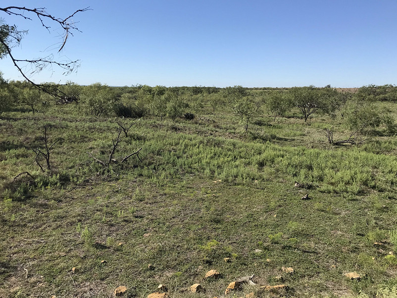 Herbort Ranch Photo