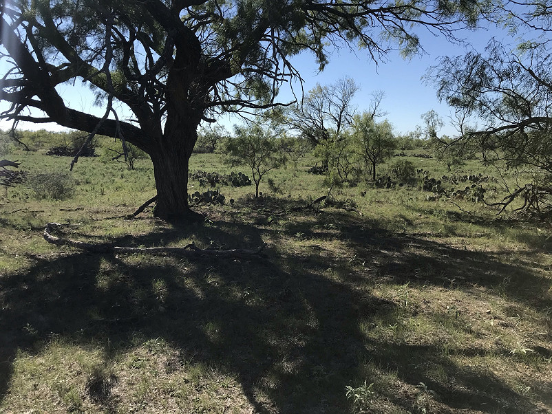 Herbort Ranch Photo