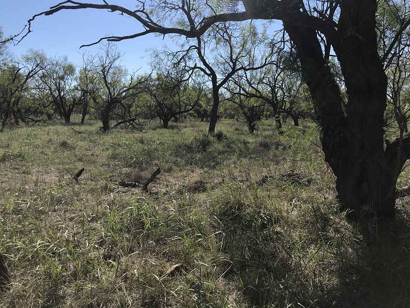 Herbort Ranch Photo