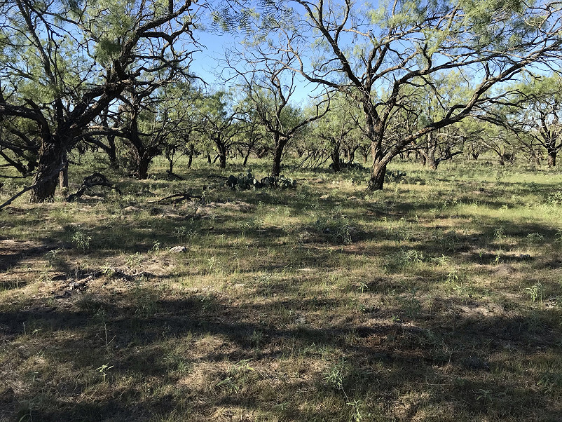 Herbort Ranch Photo