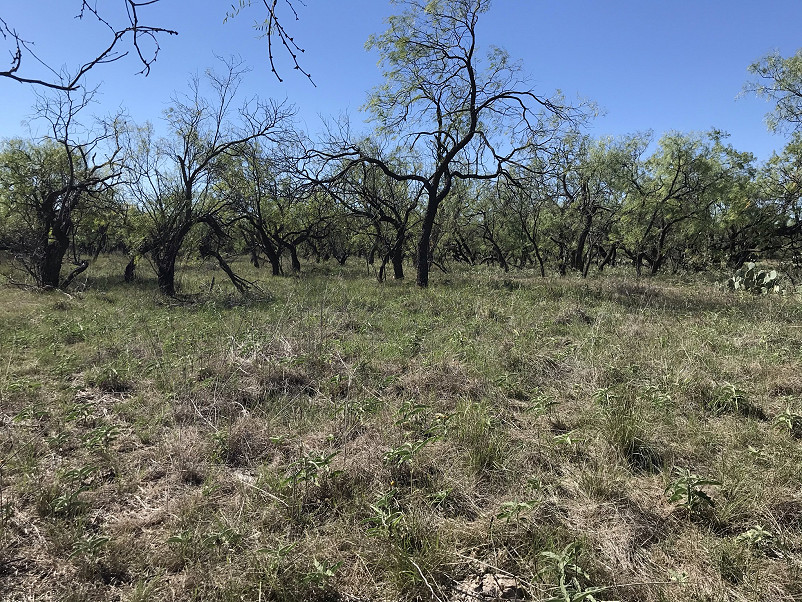 Herbort Ranch Photo