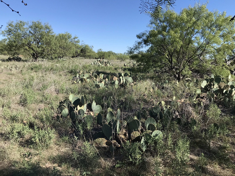 Herbort Ranch Photo