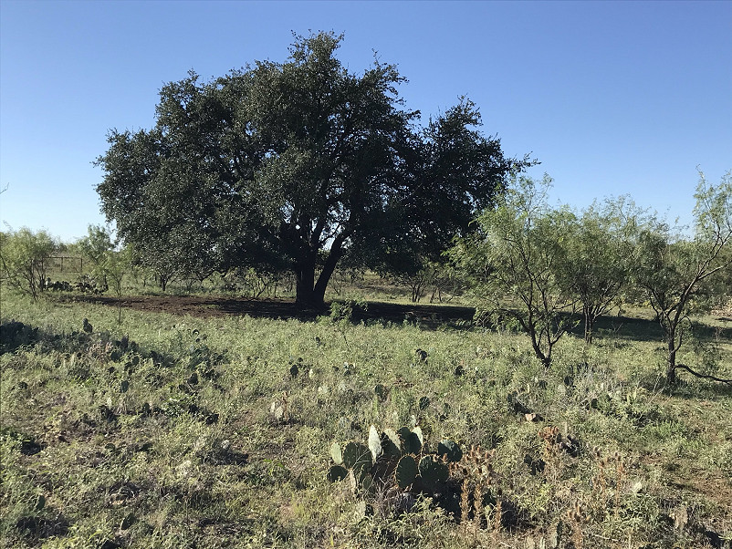 Herbort Ranch Photo