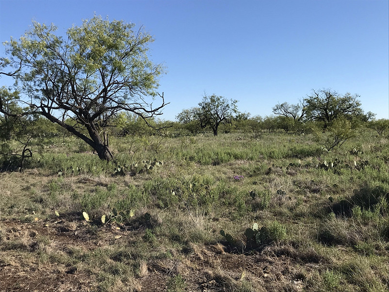 Herbort Ranch Photo