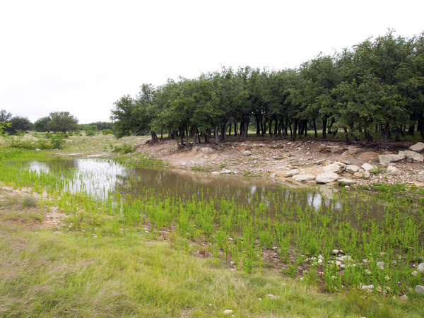 Horseshoe Nail Ranch Photo