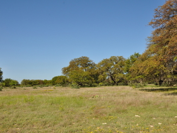 Horseshoe Nail Ranch Photo