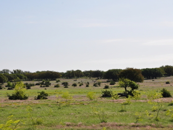 Horseshoe Nail Ranch Photo