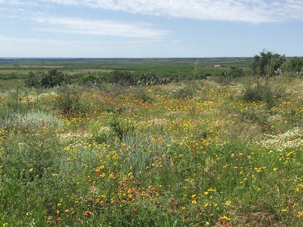 Howerton Ranch Photo