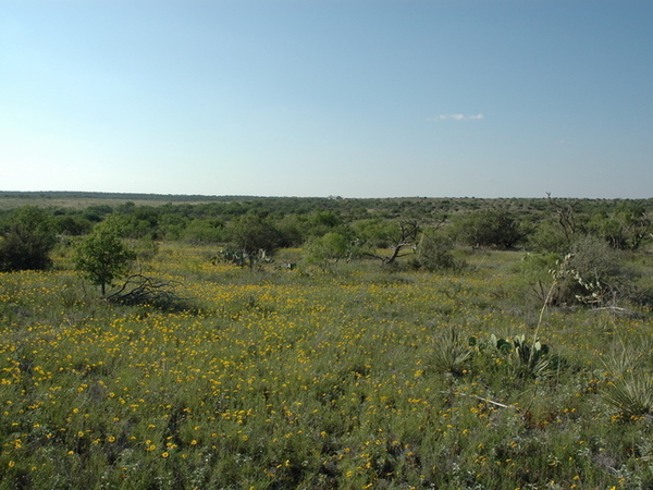 Howerton Ranch Photo