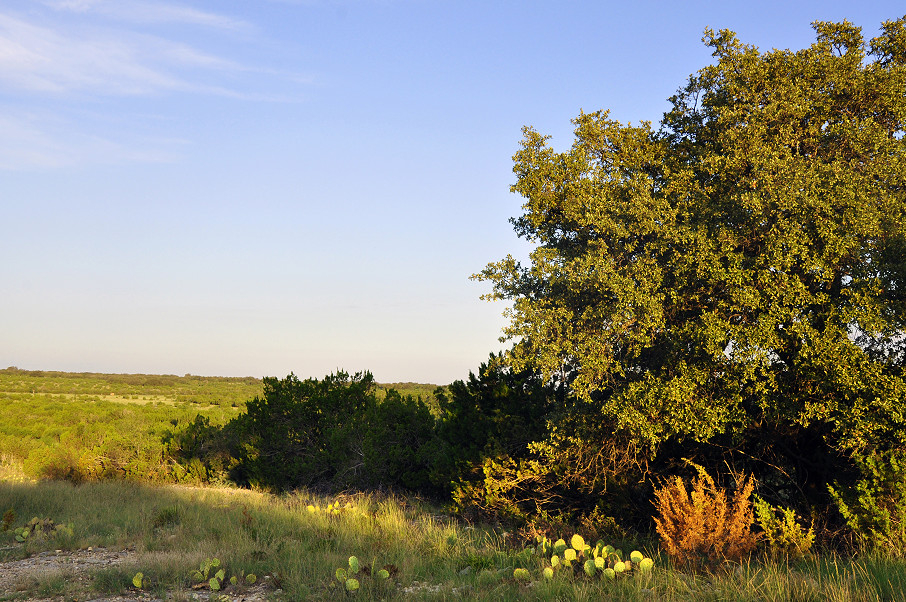 Hulldale Ranch Photo