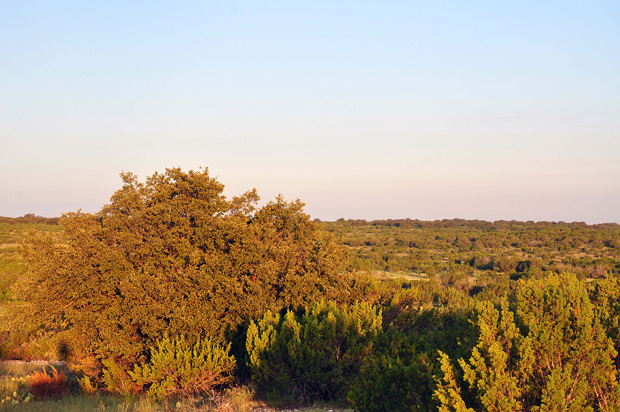 Hulldale Ranch Photo