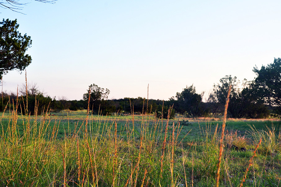 Hulldale Ranch Photo