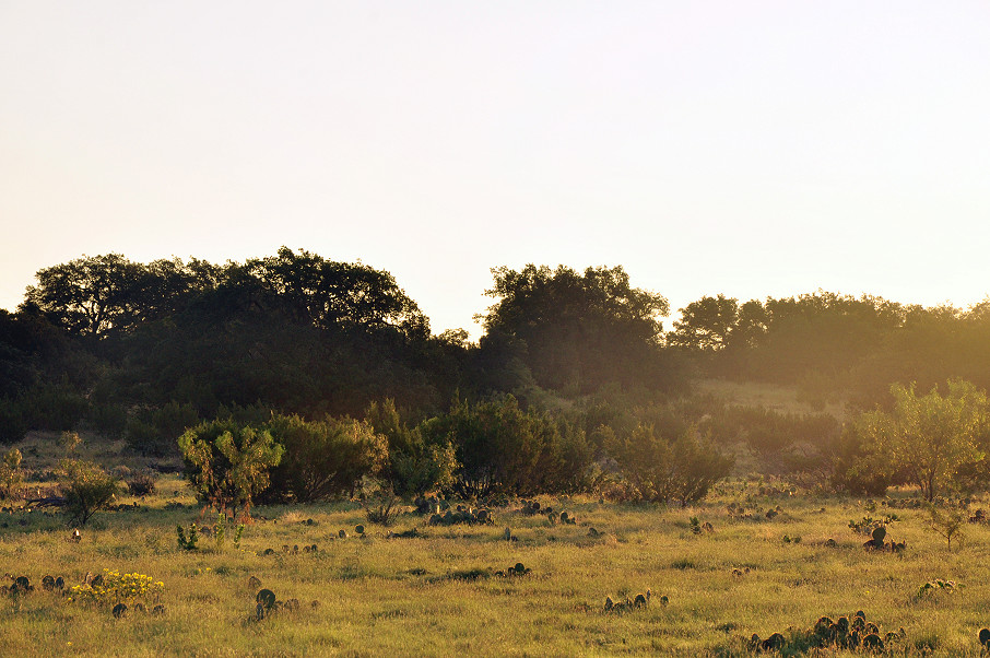 Hulldale Ranch Photo