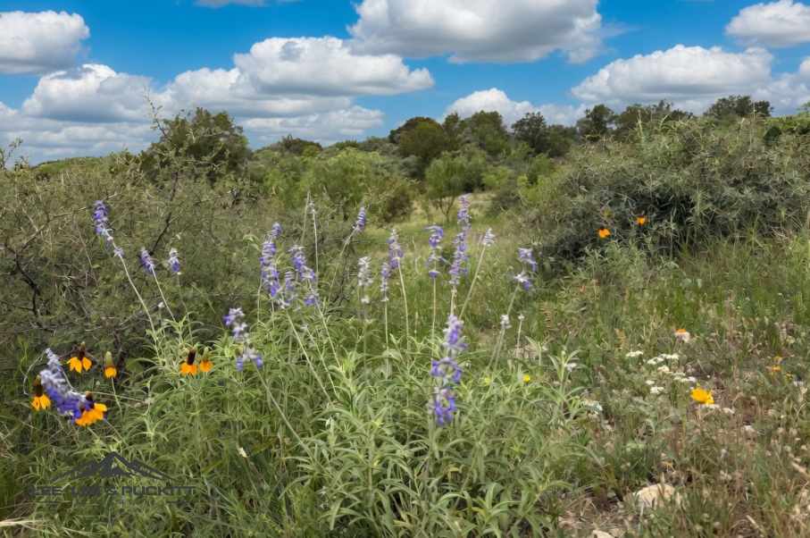 Hunters Ridge Ranch Photo