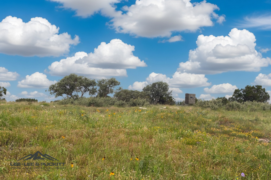Hunters Ridge Ranch Photo