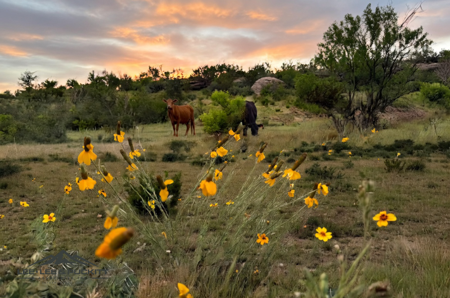 Hunters Ridge Ranch Photo