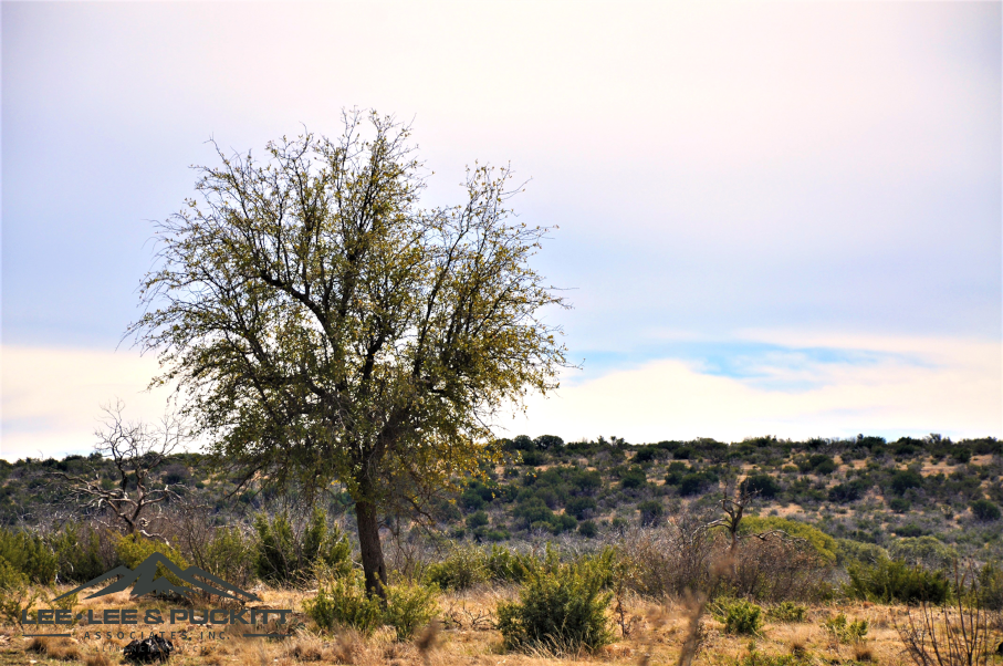 Hunters Ridge Ranch Photo