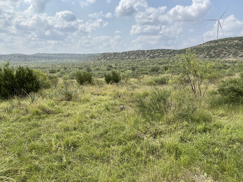 Butterfield Peak Ranch Photo