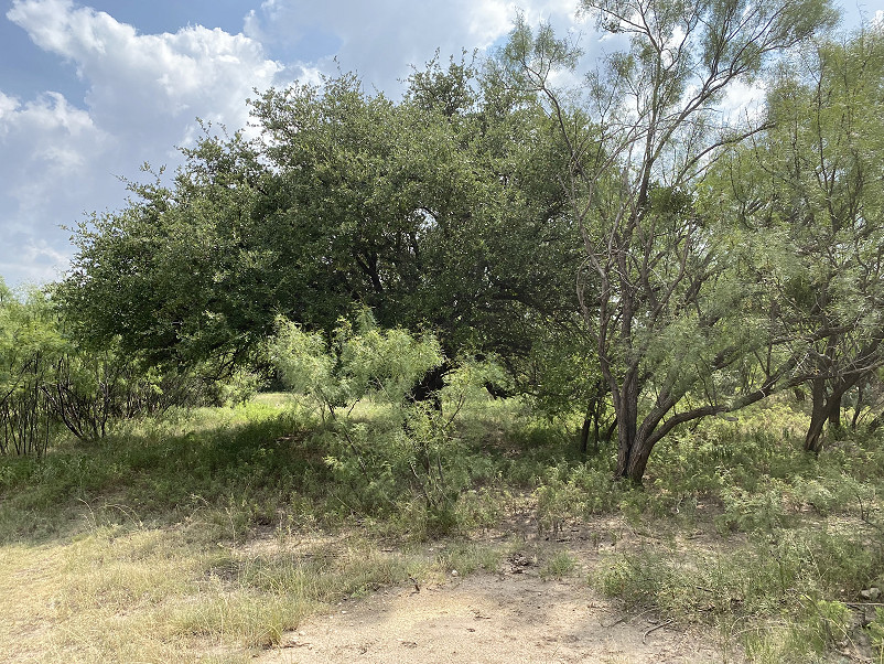 Butterfield Peak Ranch Photo
