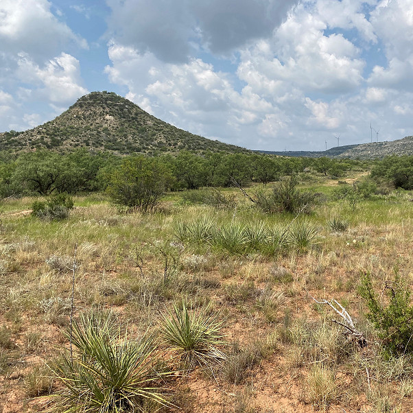 Butterfield Peak Ranch Photo