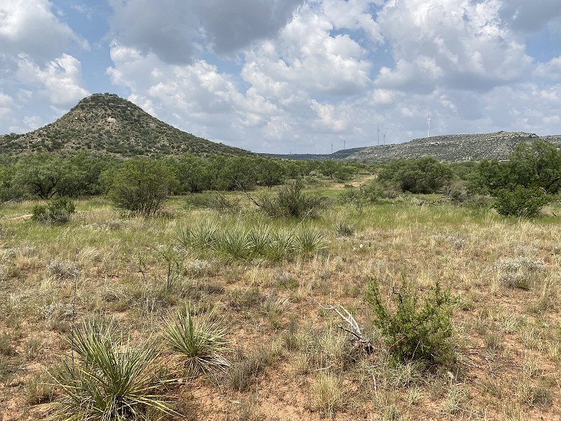 Butterfield Peak Ranch Photo