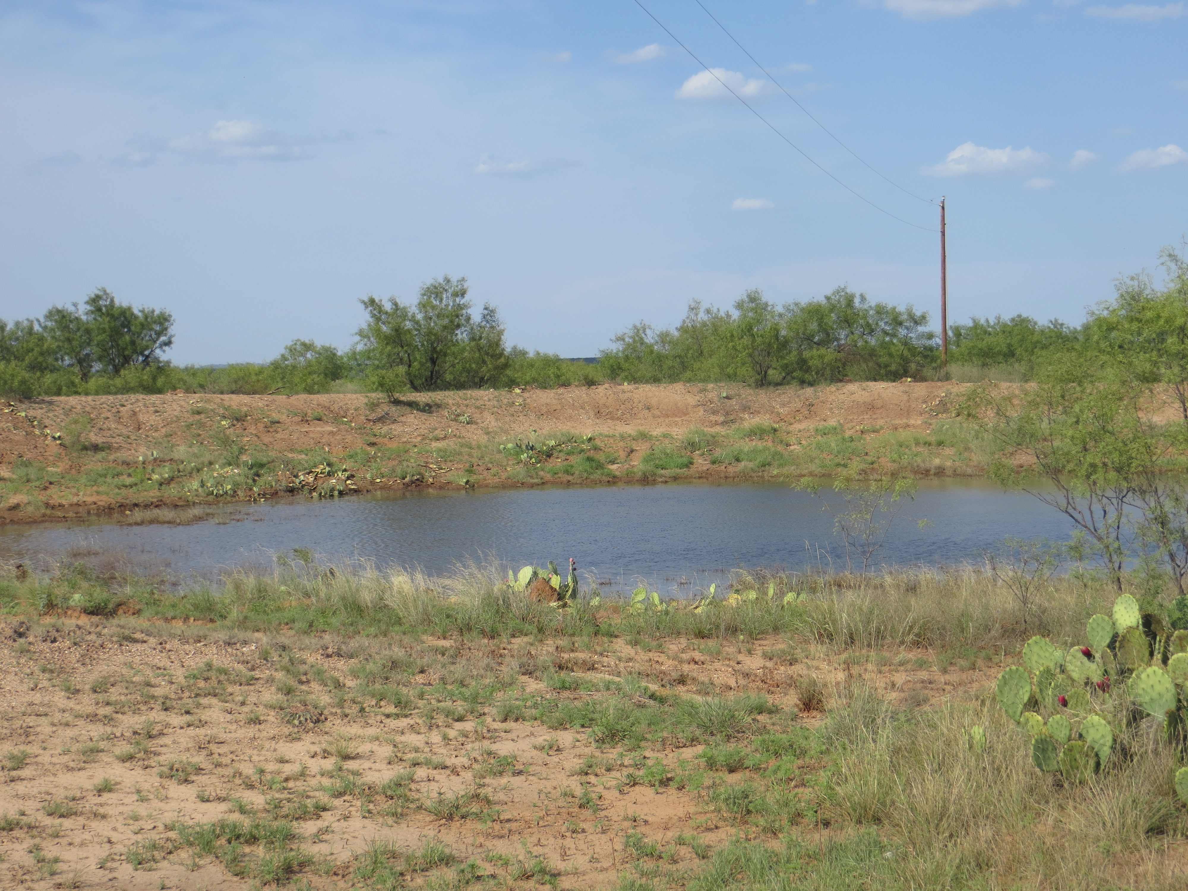 Adams Ranch Photo