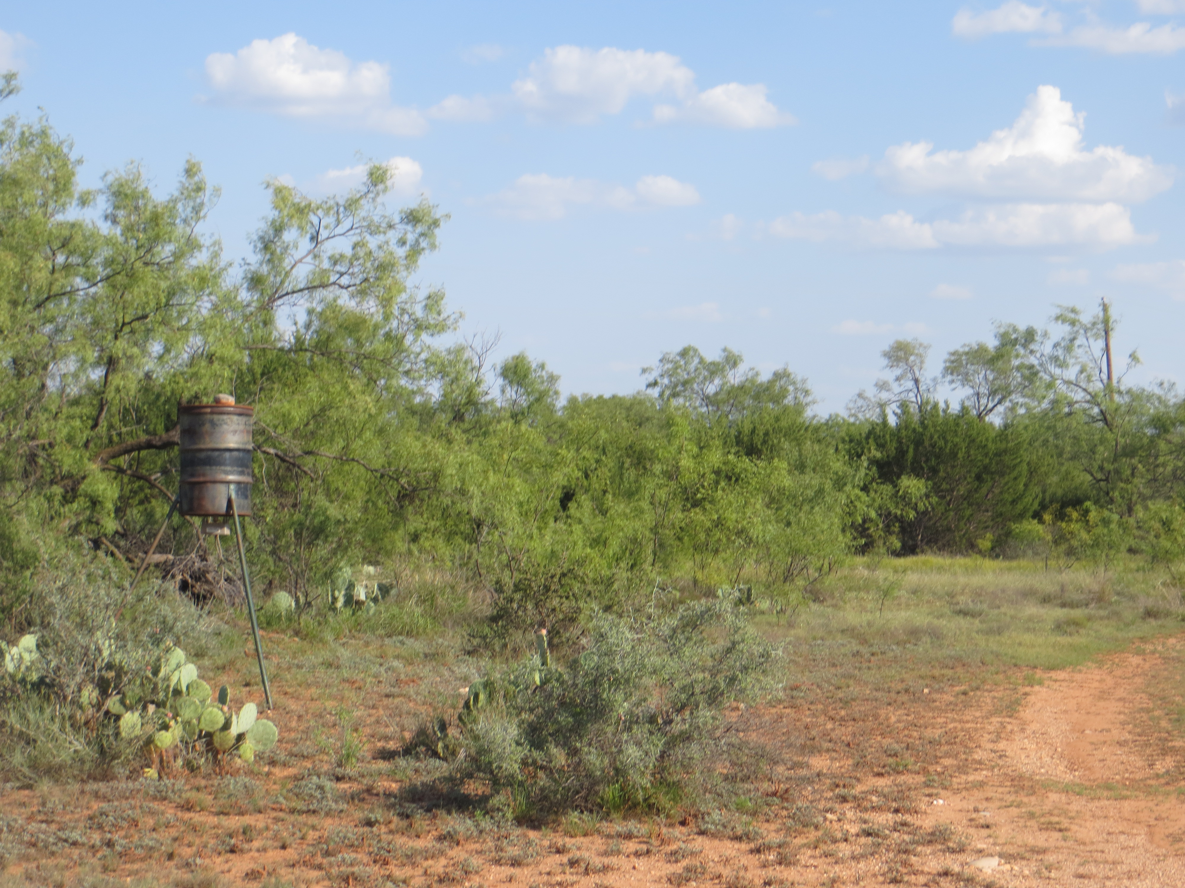 Adams Ranch Photo