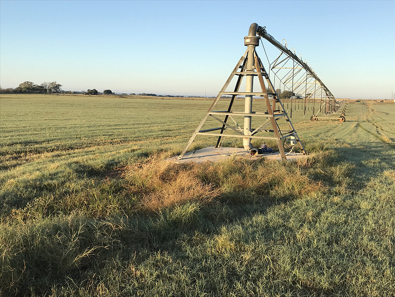 Morris Hay Farm Photo