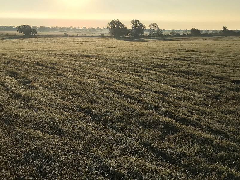 Morris Hay Farm Photo