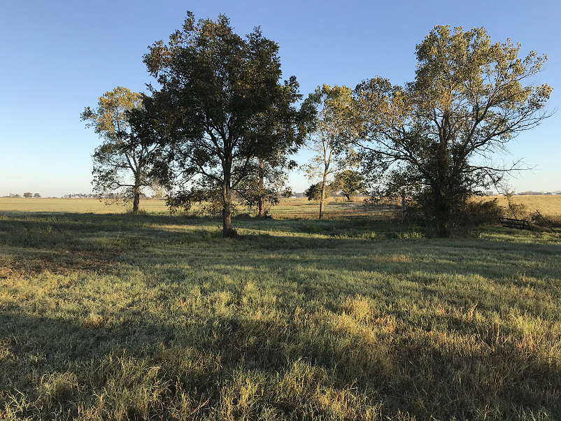 Morris Hay Farm Photo