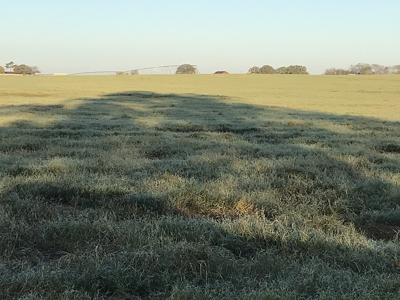 Morris Hay Farm Photo