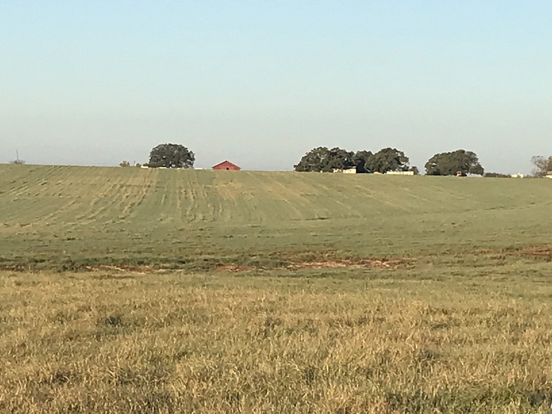 Morris Hay Farm Photo