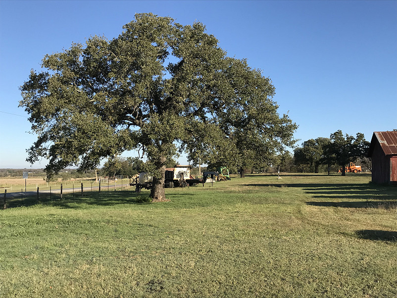 Morris Hay Farm Photo