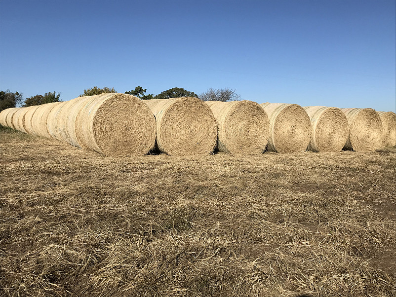 Morris Hay Farm Photo