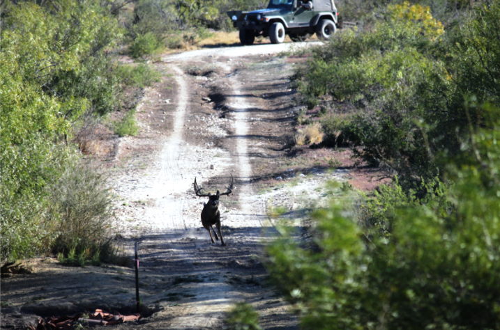 Sims Whitetail Ranch Photo