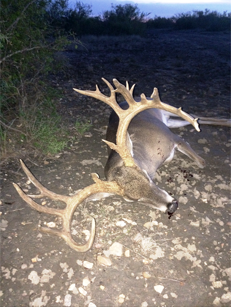 Sims Whitetail Ranch Photo