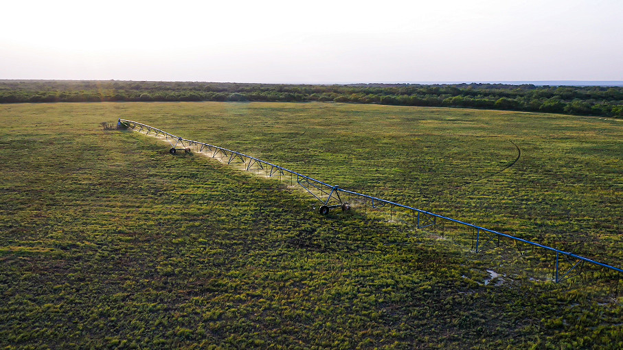 Sims Whitetail Ranch Photo