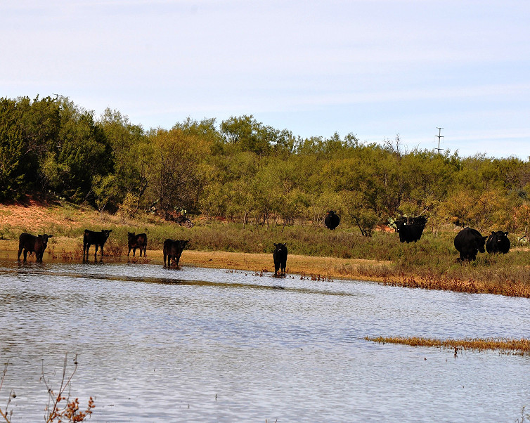 JH Ranch Photo