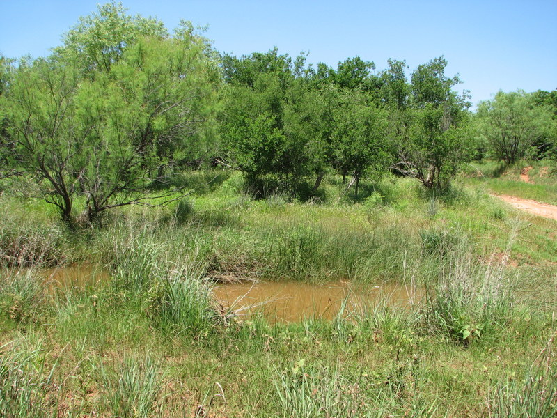 JH Ranch Photo