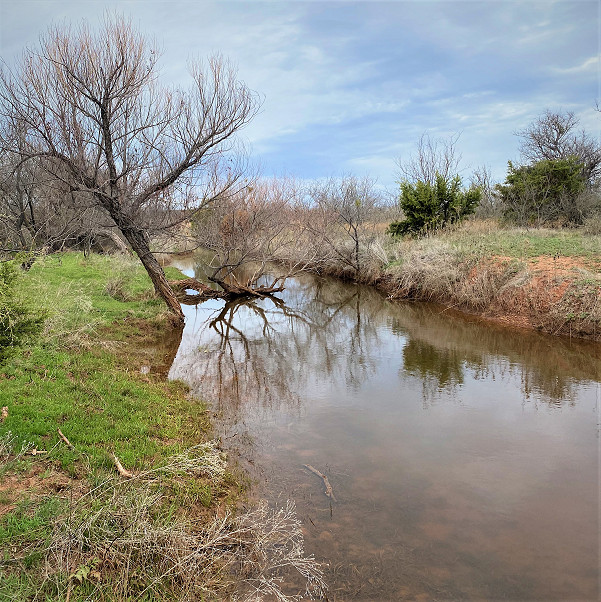 Juniper Creek Ranch Photo